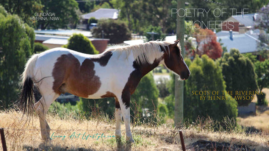 SCOTS OF THE RIVERINA BY HENRY LAWSON - Brown and White  horse in Gundagai Riverina NSW